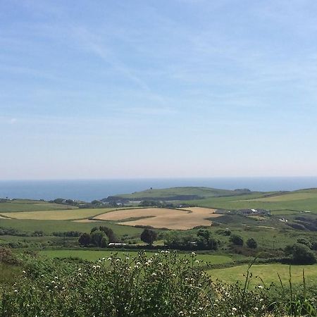 Sandycove House Bed & Breakfast Bed and Breakfast Castlehaven Esterno foto
