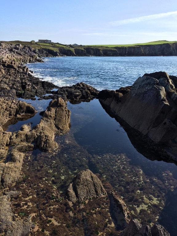 Sandycove House Bed & Breakfast Bed and Breakfast Castlehaven Esterno foto