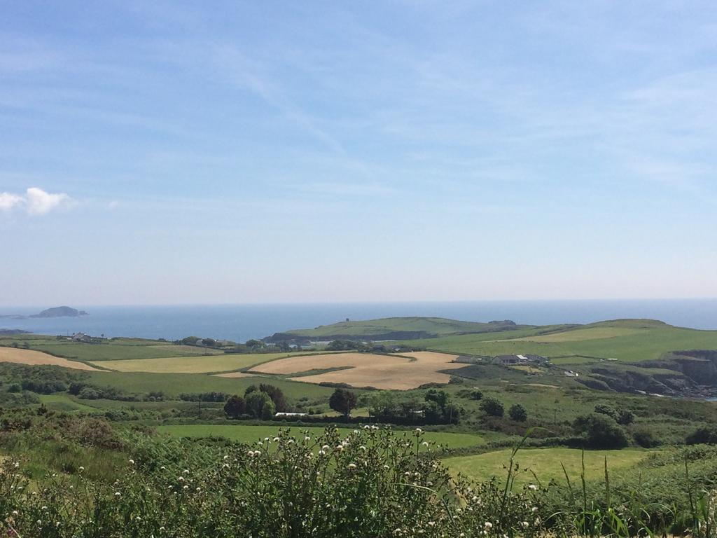 Sandycove House Bed & Breakfast Bed and Breakfast Castlehaven Esterno foto